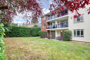 Communal Gardens- click for photo gallery